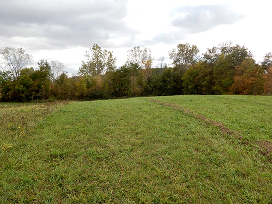 REAL ESTATE AUCTION - 25.91+/- ACRES OFFERED IN 3 TRACTS IN WHITLEY COUNTY, IN